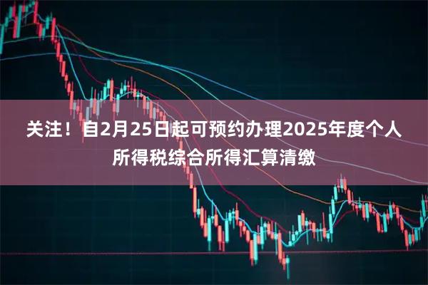 关注！自2月25日起可预约办理2025年度个人所得税综合所得汇算清缴